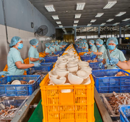CMC triển khai dự án kho tự động C-WMS/ DMS cho Công ty TNHH Chế Biến Dừa Lương Quới CMC triển khai dự án kho tự động C-WMS/ DMS cho Công ty TNHH Chế Biến Dừa Lương Quới